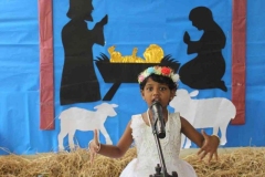 IMG_1054-Copy