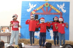 IMG_1068-Copy