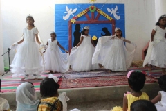 IMG_1086-Copy