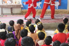 IMG_1100-Copy